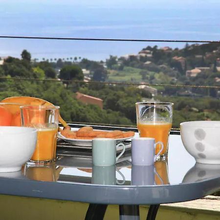 Cap Corse Uribellinu 2 Formule Petit Dejeuner Santa-Maria-di-Lota Eksteriør billede