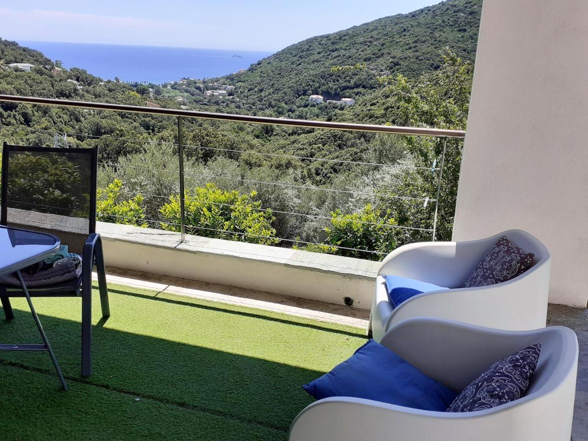 Cap Corse Uribellinu 2 Formule Petit Dejeuner Santa-Maria-di-Lota Eksteriør billede