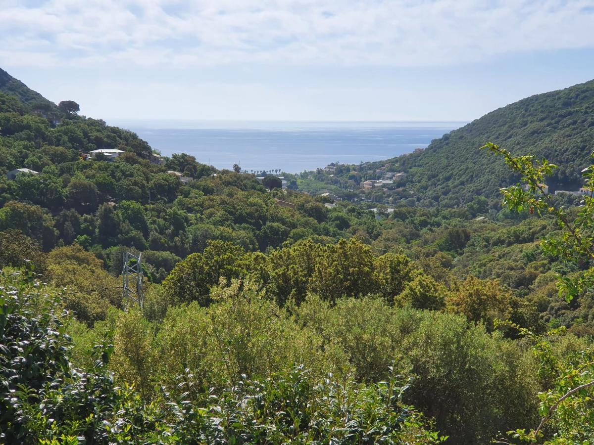 Cap Corse Uribellinu 2 Formule Petit Dejeuner Santa-Maria-di-Lota Eksteriør billede